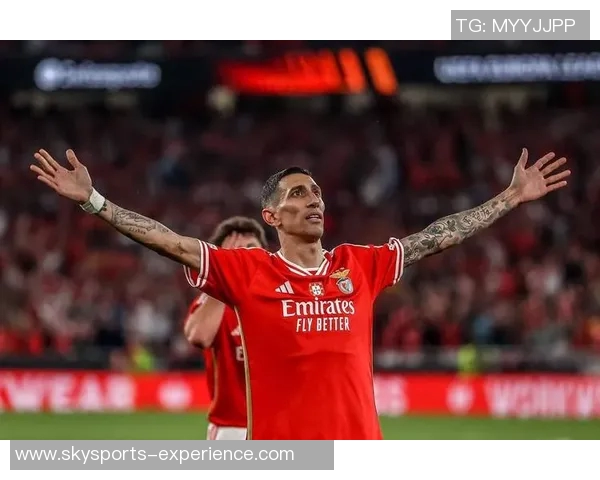 世界杯曼联险胜本菲卡乌龙球成比赛转折点全场沸腾解析